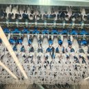 하림투어 | 닭하림공장 HCR투어 추천 후기 신청방법 사이트