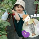 산음휴양림 달빛마을
