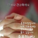 만병통치 이미지
