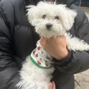 뽁덕방 이미지