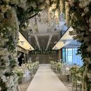 270-3047 | W1.[일산 웨딩홀 더테라스웨딩]밝은 홀투어 후기, 24년 견적 공유해요!