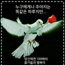 즐거운 이미지