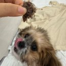 바르개 맛있개 이미지