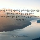 새일교회 인간의 종말 | 양심 시대 말기의 역사 이미지