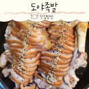 도야족발보쌈일광 이미지