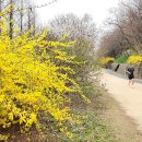 마포, 걷고싶은길 9코스 이미지