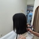 데이연 헤어샵