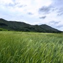 딩켈언덕 이미지