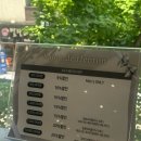 Salon de hair 꾸밈 | w5/[대전 미용실 추천💇🏻‍♀️] 웨촬헤어, 본식헤어, 현재까지🍒