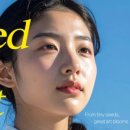 씨앤씨스토리 이미지