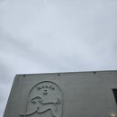 몽드드뚜뚜 | 감성 가득한 몽드드뚜뚜 애견카페, 비 오는 날도 강아지와 함께 따뜻함 더하기