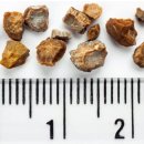 D00782 네이버블로그