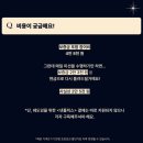 영어왕초보반 | 영어 회화 공부 방법 추천 🗣️ | 미드나잇소사이어티 스터디 솔직 후기