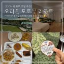 오키나와 호텔 오리온 모토부 리조트 북부 숙소 아이랑 추천 조식후기까지 내돈내산