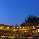 대천통나무리조트 이미지