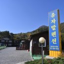 유자밭펜션 이미지