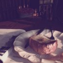 포티올리 이미지