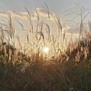 율산초등학교 이미지