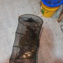 안양바다낚시터 이미지