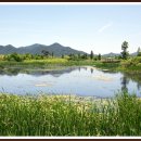 함평파크골프장 이미지