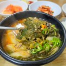 안동식당 | 안동 신시장 &#39;옥야식당&#39; 선지해장국 육개장 내돈내산 후기 (전현무계획 맛집)
