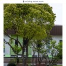 신세계성인오락실 이미지