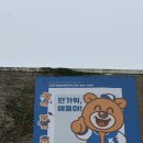 샐러드부락 이미지