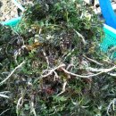 농산물 소개소 이미지