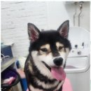 오늘도 예쁘개 이미지