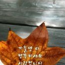 10월8일 화요일 이미지