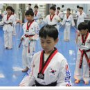 용인대 한얼 태권도 이미지