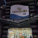 한우충전소/(주)서설 | 가산 맛집 평창육회 한우 육회, 육사시미, 육회비빔밥 점심 추천