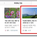 양아목장 이미지