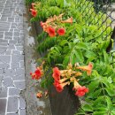 함박봉로 이미지