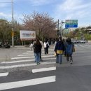 뚱이애견 | 충무로 애견동반 카페 동국대 하우스커피앤디저트 방문 후기