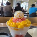 미금역 5번출구 | 분당 설빙 신메뉴 &#39;자망코 빙수&#39; 자몽·망고·코코넛을 한 그릇에! 카페 설빙 성남미금역점 내돈내산 후기