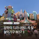 탑 (TOP) 스타 PC | 중국 상하이 디즈니랜드 놀이기구 Top3 &amp; 일루미네이션 솔직 후기 필수 꿀팁