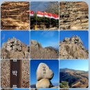 순천-74호 이미지