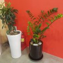 오산다문화사회적협동조합 이미지