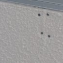 운중동주민자치센터 이미지