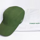 포레스트의원 이미지