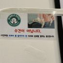 버블독스광주양산점 이미지