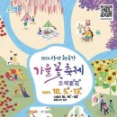 장성공설운동장 12 이미지