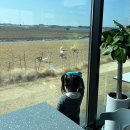 달록비치 | [전주] 직접 구운 쿠키와 피자, 그리고 넓은 정원까지 “파프리카” 카페후기