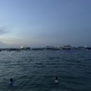 에메랄드팜 이미지