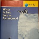 UNIT 12. What Is Life Like In Antarctica? 이미지