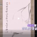 석연 양기훈 鷺葦圖(노위도2024.11.10진품명품) 이미지