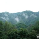 선달산캠핑장 이미지