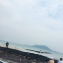 새로나레져 | 제주도 이끌리는 곳으로... 둘째날...