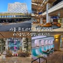 Lion GYM | 서울 몬드리안 호텔 이태원 호캉스 / 피나클킹, 수영장, 피트니스 후기